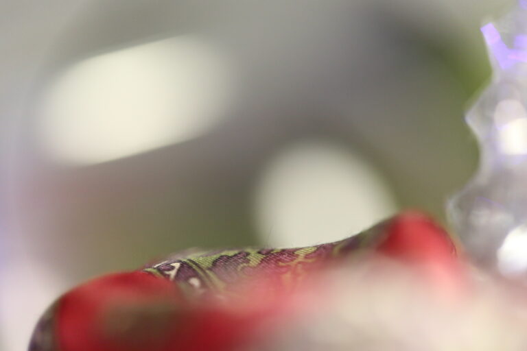 Annettte1N3B3649 - kopie