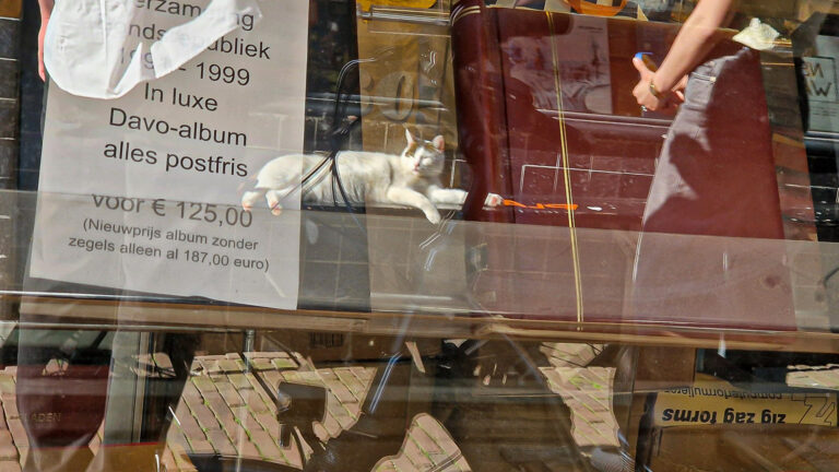 Rob- 090etalage 20260319_143815- - Rob Beurse